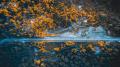 Aerial view of a road winding through a forested landscape during golden hour