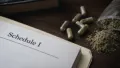 Capsules, powder, and a Schedule I document representing the federal crackdown on 7OH
